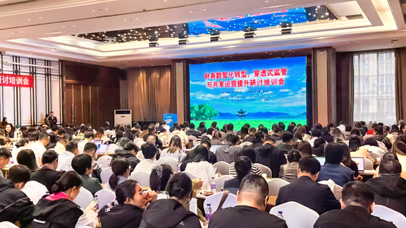 总会计师协会财务数智化转型研讨会在杭召开，博思软件专家解码税务数智化成败关键