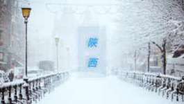 陕西公布2022年省级政府采购电子卖场供应商征集第二批审核结果