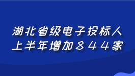 湖北省级电子投标人上半年增加844家