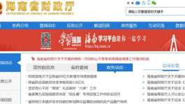 海南省财政厅关于进一步加强政府采购信息发布管理的通知