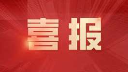 博思数采两产品认定为北京市新技术新产品（服务）