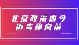 全国人大代表、北京市财政局局长吴素芳：北京政采而今迈步稳向前