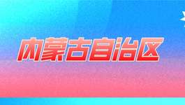 内蒙古自治区统一各类政府采购接口规范