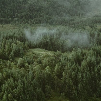 企业愿景