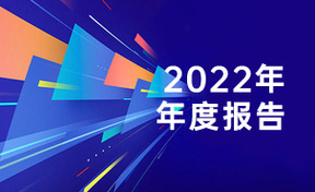 《2022年度汇报》