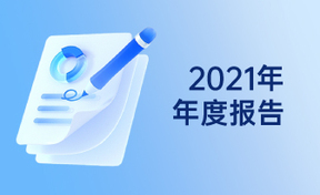 2021年年度汇报