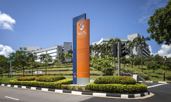 新加坡的公立大学