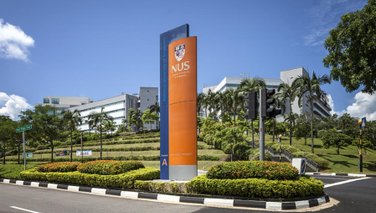 新加坡的公立大学