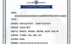 BSQD20220013 湖北大奇立扬信息科技有限公司