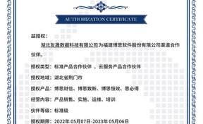 BSQD20220009 湖北友晟数据科技有限公司