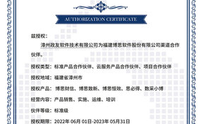 BSQD20220018 广安政友软件技术有限公司