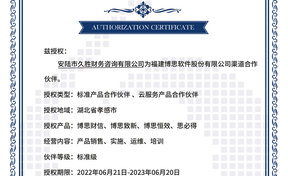 BSQD20220033 安陆市玖胜财政征询有限公司