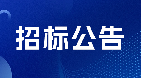 关于福建博思软件股份有限公司2024年度内部控制审计、财务报表审计选聘会计师事务所服务采购项目邀请招标公告