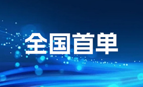 全国首单！丽江买卖集团成功试点框采系统AI智能辅助评标上线利用