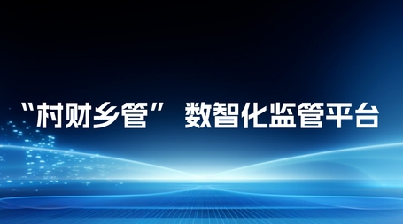 “九大举措”赋能乡村财务，共筑乡村振兴新基石