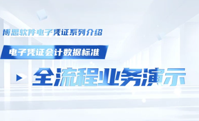 电子凭证管帐数据尺度——全流程业务演示