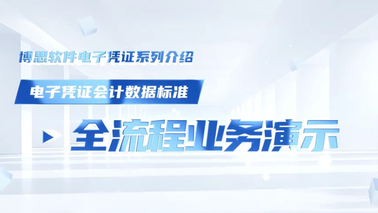 电子凭证会计数据标准——全流程业务演示