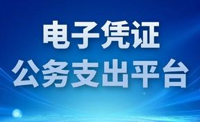 九州酷游官网软件承建雅安市电子凭证公务支出平台，，，，，，以数智技术赋能财政财政治理刷新