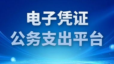 人生就是博软件承建龙岩市电子凭证公务支出平台，以数智技术赋能财政财务管理变革