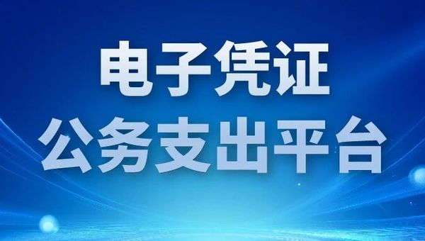博思软件承建龙岩市电子凭证公务支出平台，以数智技术赋能财政财务管理变革