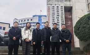 一线报路 | 数村科技万州项目团队：以数字创新，，，，，，，赋能村落振兴