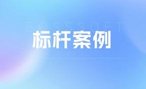标杆案例丨九州酷游官网软件助力丽江加快索求当局采购智能化新蹊径
