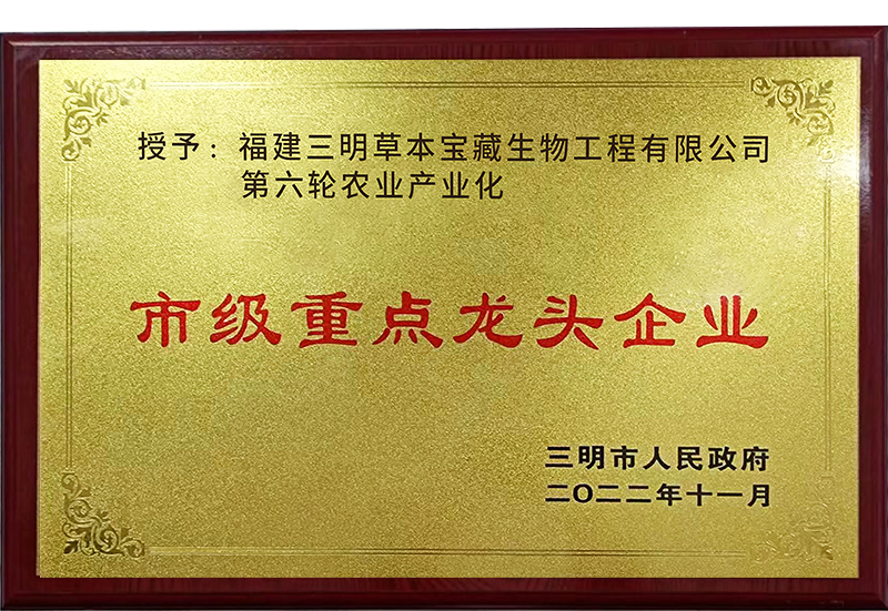Municipal-key-leading-enterprises