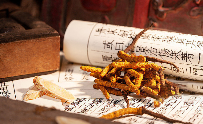 Cordyceps Powder/Extract