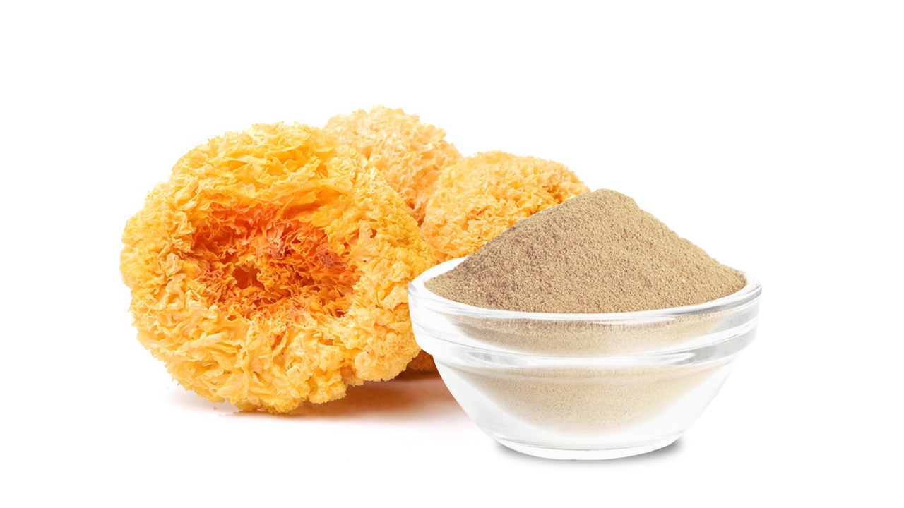 Key Compounds Extracted