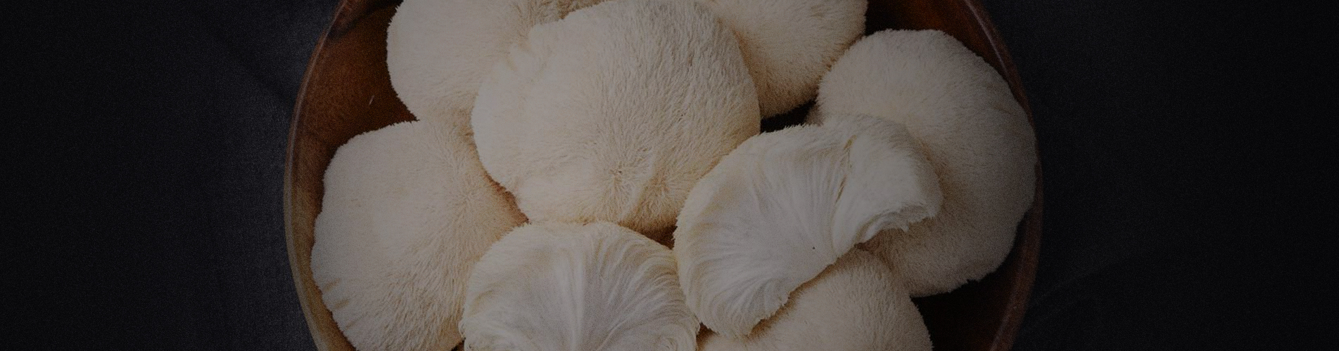 Lion’s Mane Mushroom