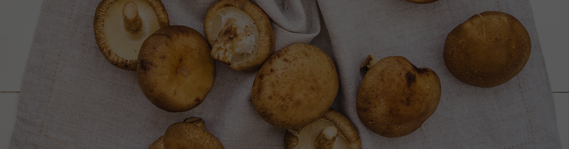 Shiitake Mushroom