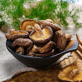 Shiitake Mushroom Powder/Extract