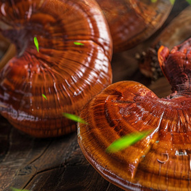Reishi Spore Oil Softgel