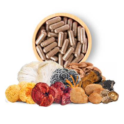 Medicinal Mushroom Capsules