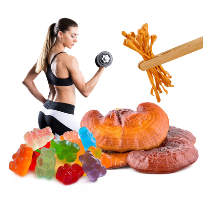 Immune Support Formulas