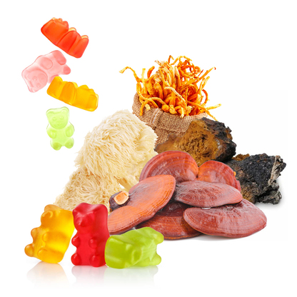 Medicinal Mushroom Formulas