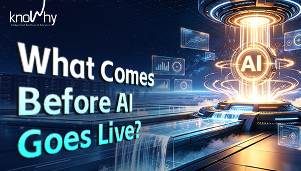 What Comes Before AI Goes Live?