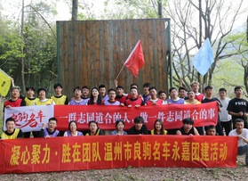 溫州市良駒名車團建活動