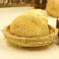 天然猴头菇 古田特产猴头菇 干货  专门养胃