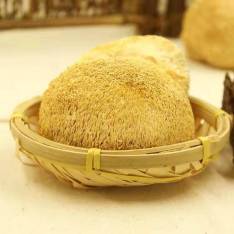 天然猴头菇 古田特产猴头菇 干货  专门养胃