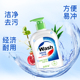 碧素堂  清香抑菌洗手液_3