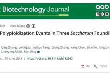 张积森教授论文《Recent polyploidization events in three Saccharum founding species》在《Plant Biotechnology Journal》发表