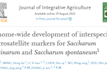 【JIA】甘蔗高贵种和割手密种种间特异微卫星标记的全基因组开发