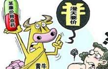 有疗效无“前途”被消失 廉价救命药频现药荒困局