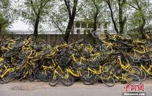 共享单车畅行背后的“死结”：“虐车”等问题频现