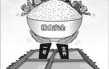 福建省级财政下达5275万元保障粮食生产与安全