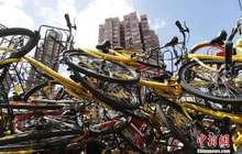 共享单车拉动10万人就业 部分职位月收入过万