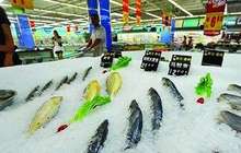 农产品冷链流通标准化 厦门成为首批全国示范城