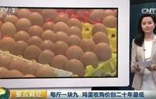 鸡蛋收购价每斤1.9元创二十年最低 养殖户贱卖母鸡