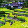 福清旅游迎来“蜜月期” 2017年签约额60多亿元